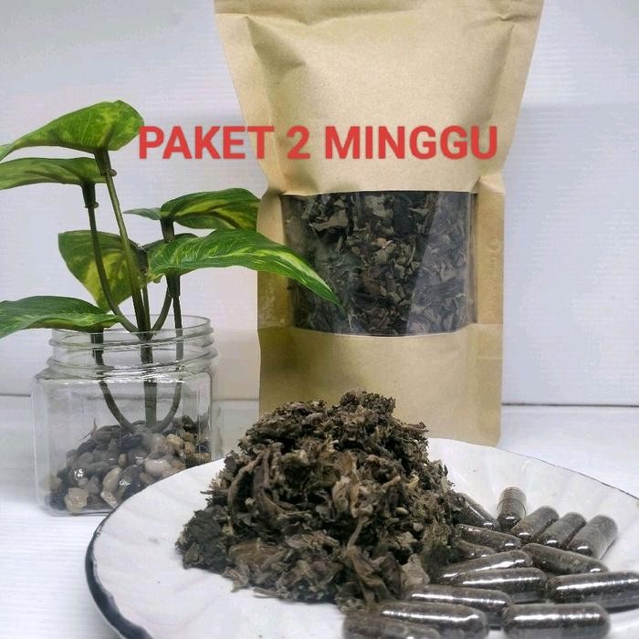 

Paket Teh Fistula ani & Biji2an (untuk 2 minggu)