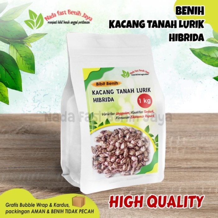 Bibit kacang tanah 1 kg lurik madu / benih lacang tanah hibrida