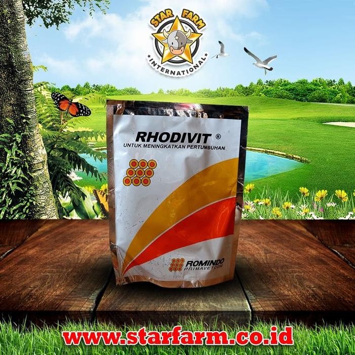 Kualitas terbaik] Rhodivit Vitamin Ayam 100 Gr Meningkatkan Pertumbuhan - Star Farm