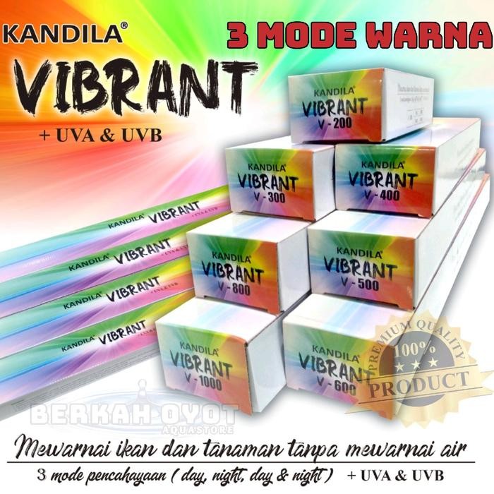 PREMIUM KANDILA VIBRANT LAMPU GANTUNG AQUARIUM 3 MODE WARNA