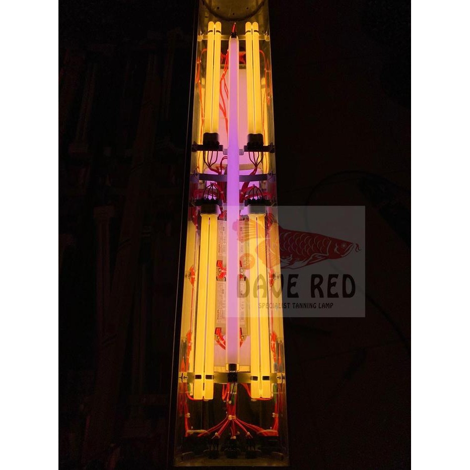 PREMIUM 4 PLL 1 Jebo Lampu Tanning Arwana Soft Tanning Dave Red Arwana Lamp