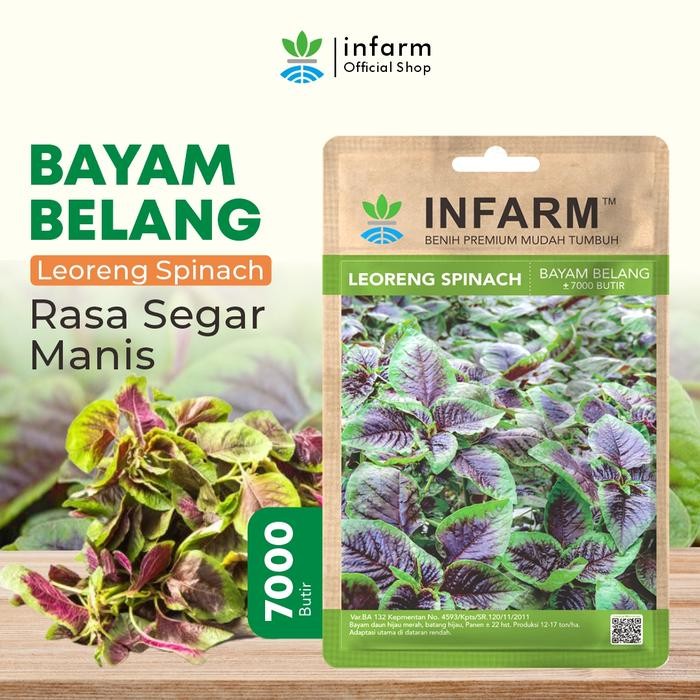 INFARM-Benih Bibit Sayur Bayam Benih Sayuran Bayam Loreng Bibit Sayur Sayuran Segar Benih Sayur