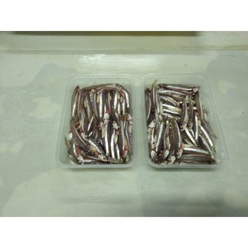 

Ikan Teri Hitam 250 gram / Seafood 22