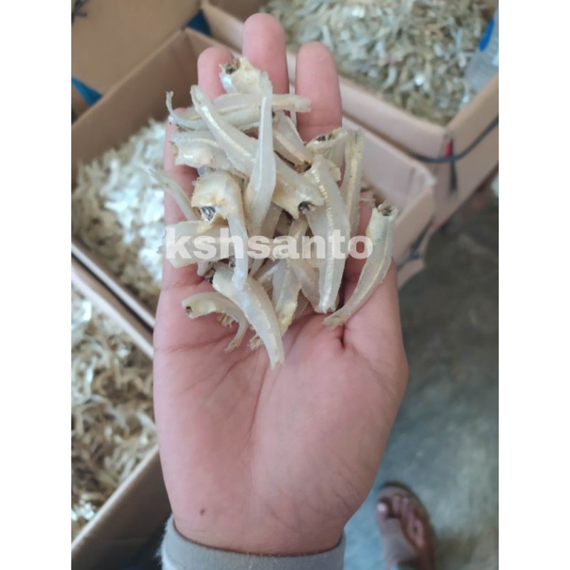 

Ikan asin teri Daging khas medan-500gram