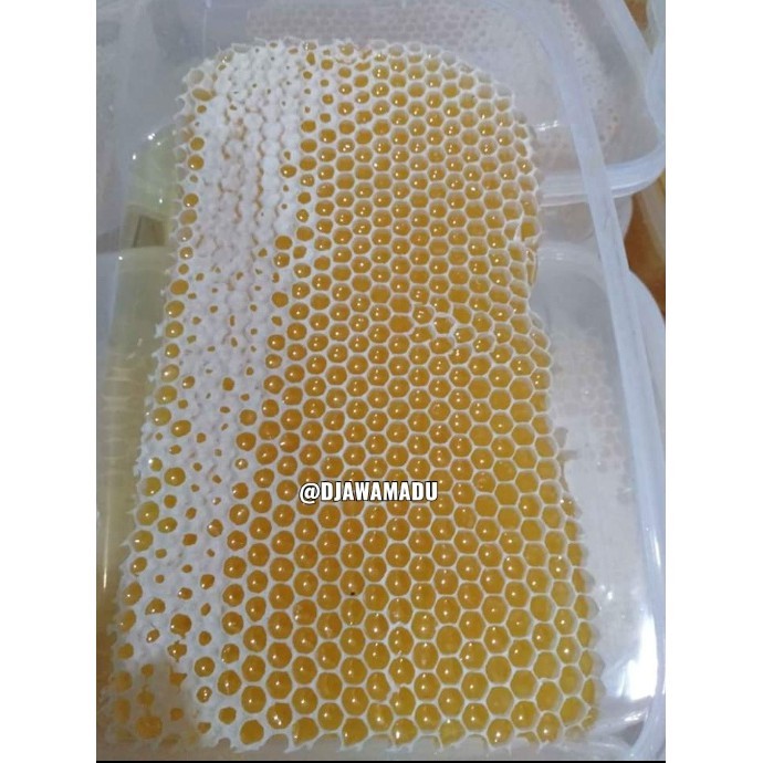 

Sega Tungtung Madu Sarang 250 Gr Premium