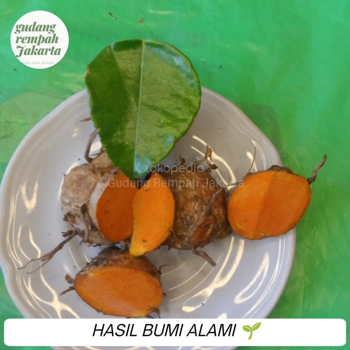 

Terlaris Biang Kunyit 1 Kg