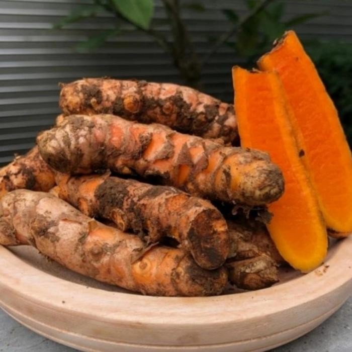 

Terlaris Kunyit Segar Gede Gede 1Kg