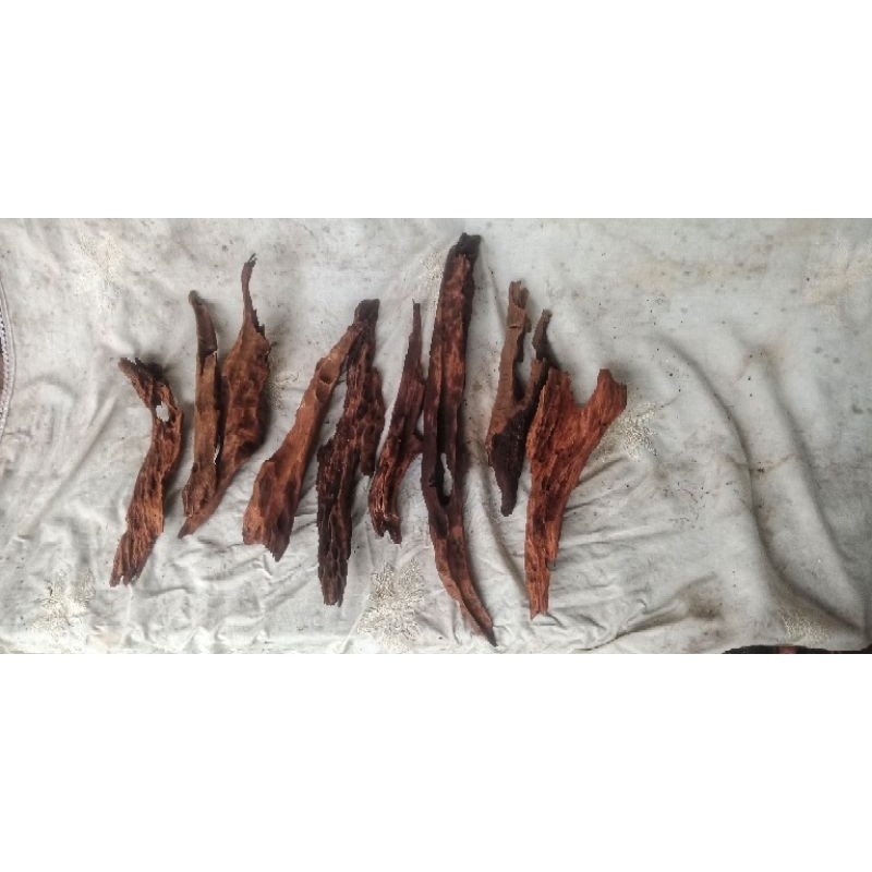 Kayu Rentek mini Meruncing 1 kg