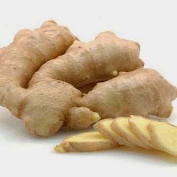 

Terlaris Kunyit Putih 1Kg Temu Putih Segar (Curcuma Zedoria)Fresh