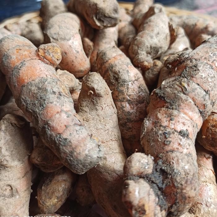 

Terlaris Kunyit 1 Kg