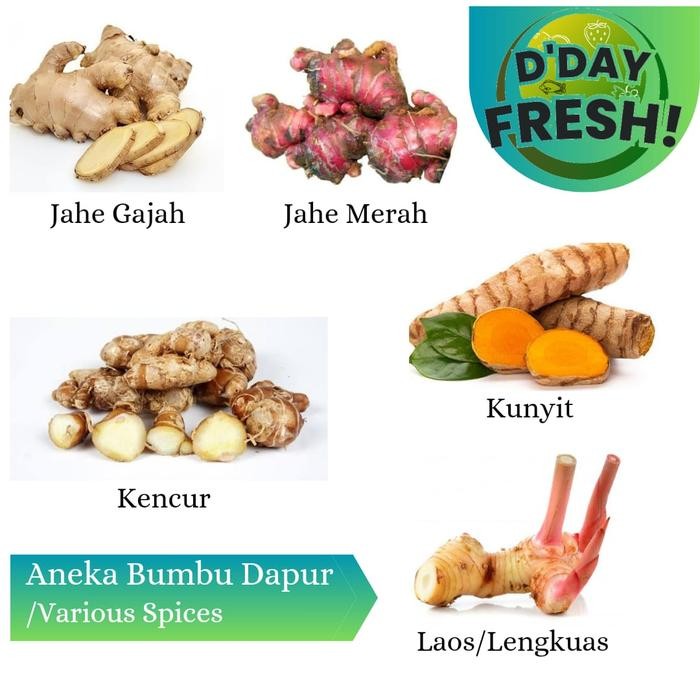 

Terlaris Kunyit Jahe Laos Kencur