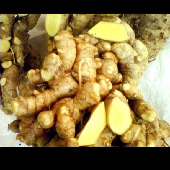

Terlaris Obat Herbal Temu Mangga/Kunyit Mangga Kering 1Kg