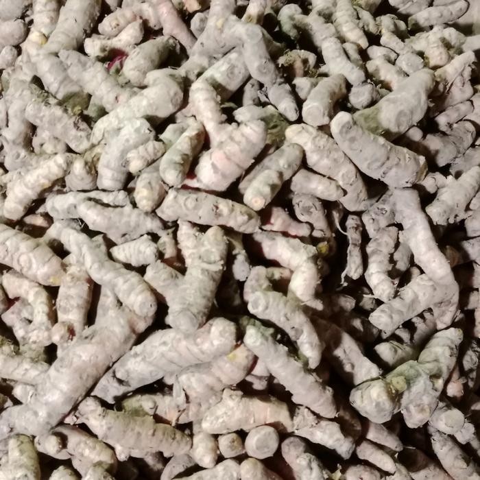 

Terlaris Kunyit Murah Murni Super Berkualitas Tinggi 1Kg - Produk Berkualitas Bagus Bahan Masakan