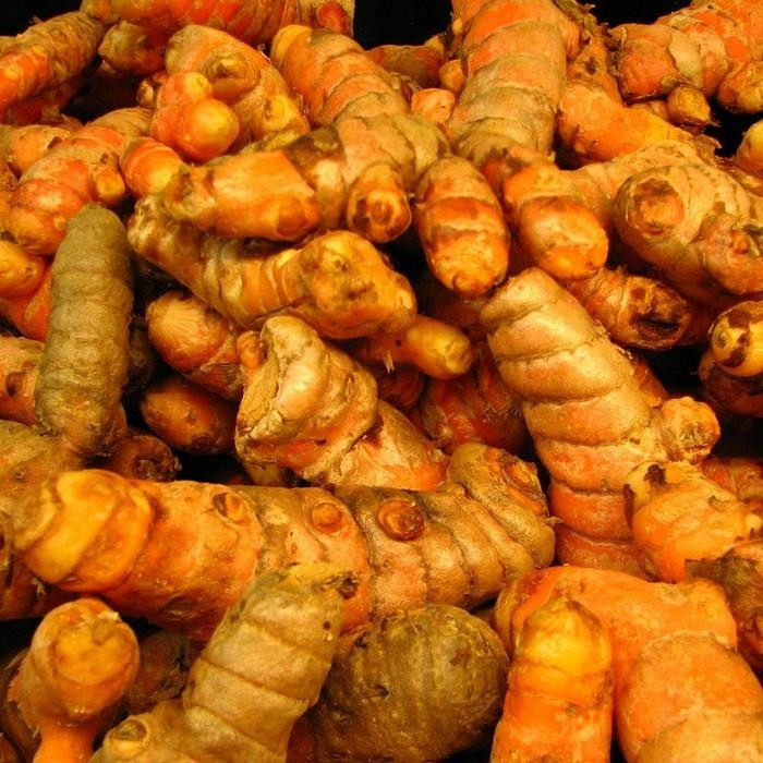 

Terlaris Kunyit Kuning Segar