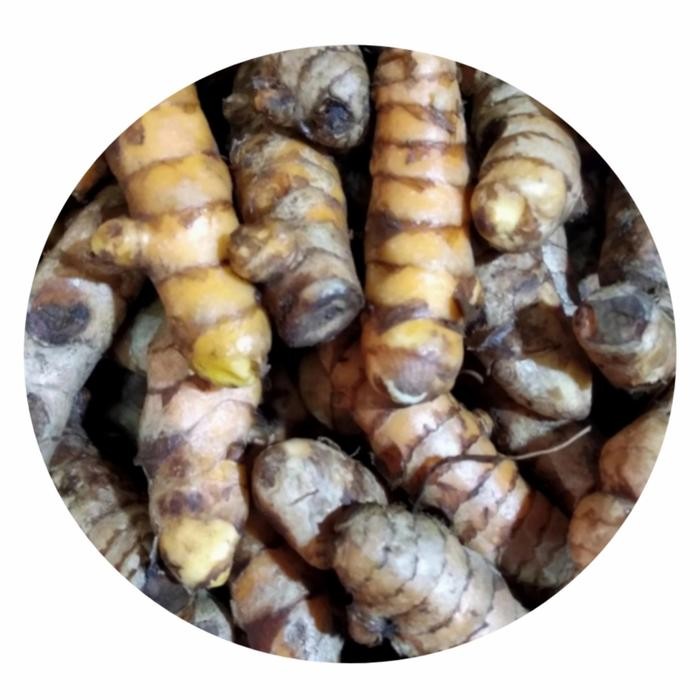 

Terlaris Kunir / Koneng 500Gr