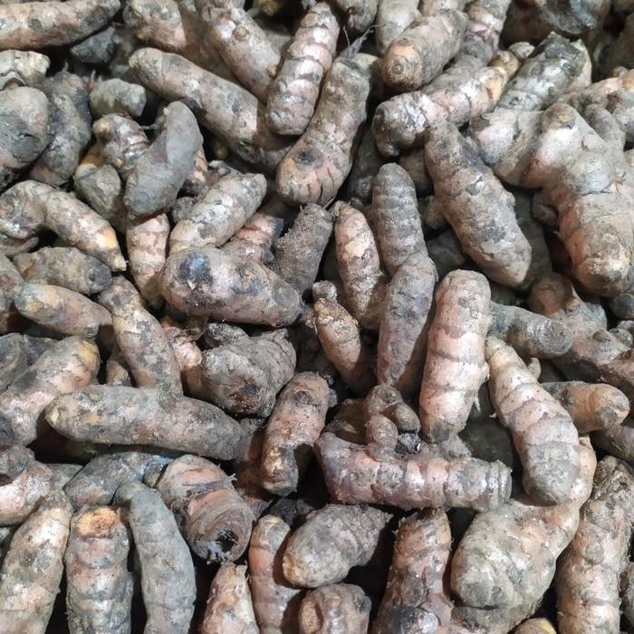 

Terlaris Kunyit / Kunir / Koneng / Konyet Segar Sehat 500Gr 100% Halal