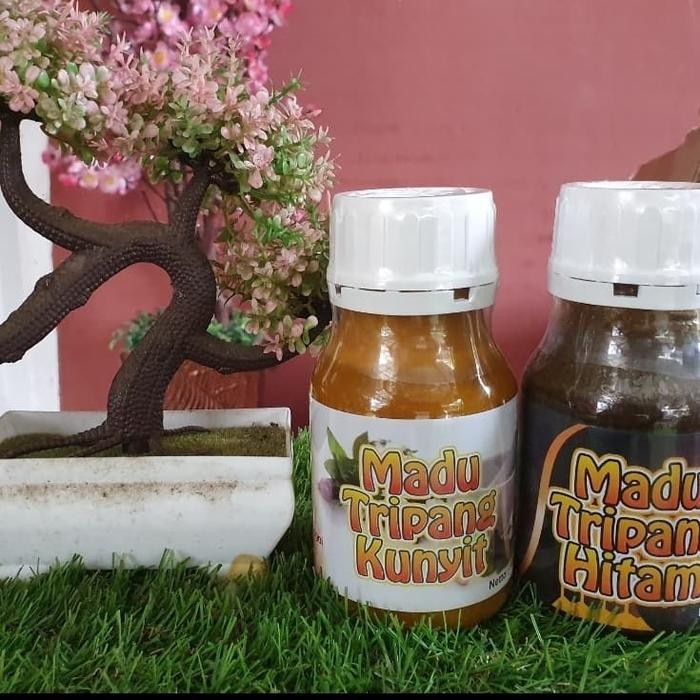 

Terlaris Paket Kesehatan Madu Tripang Kunyit Dan Madu Hitam Tripang