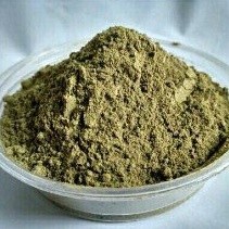 

TERMURAH!! Daun Katuk (Bubuk) Pelancar ASI Booster Herbal Rempah Organik