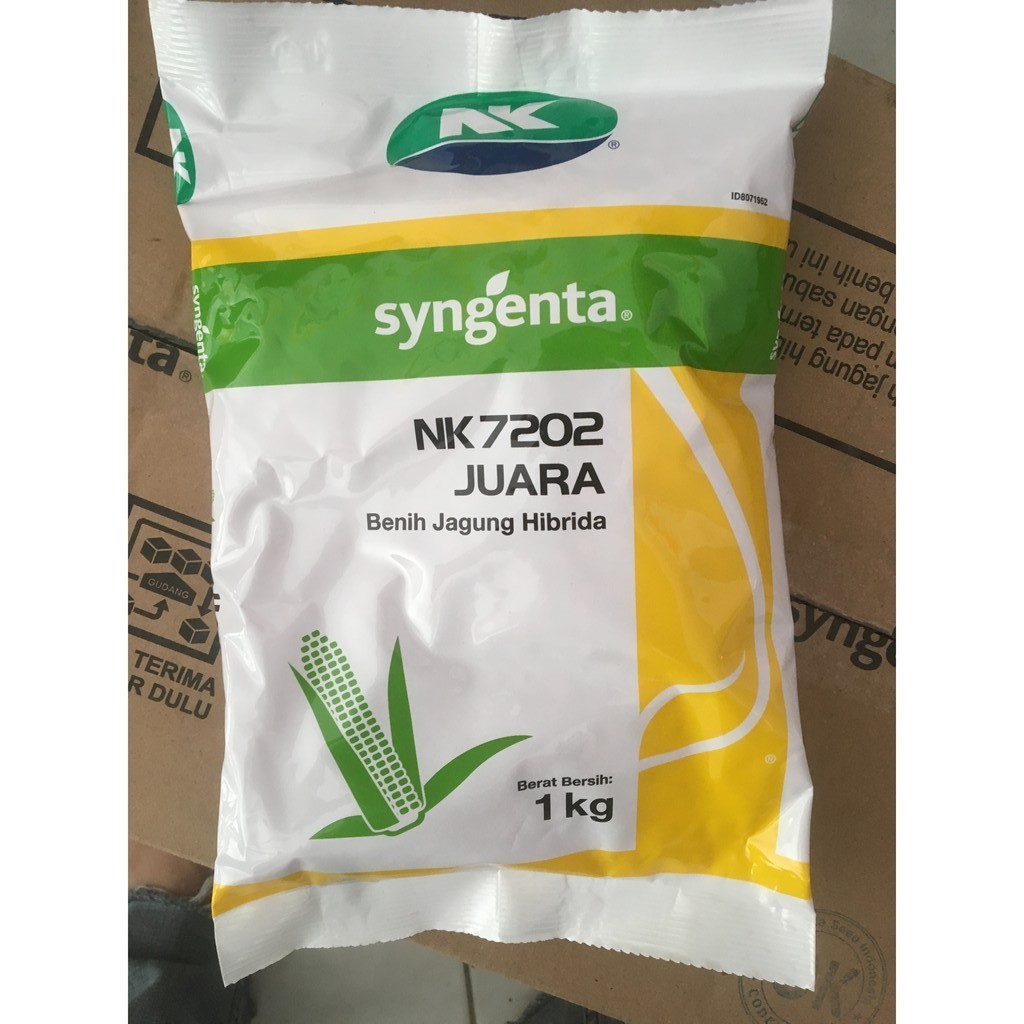 Bibit Jagung Hibrida NK7202 JUARA 1Kg Syngenta