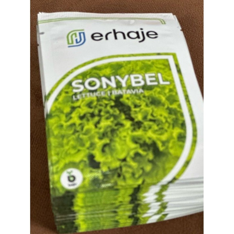 SONYBEL Bejo Seeds Pengganti Myrtel Batavia Lettuce