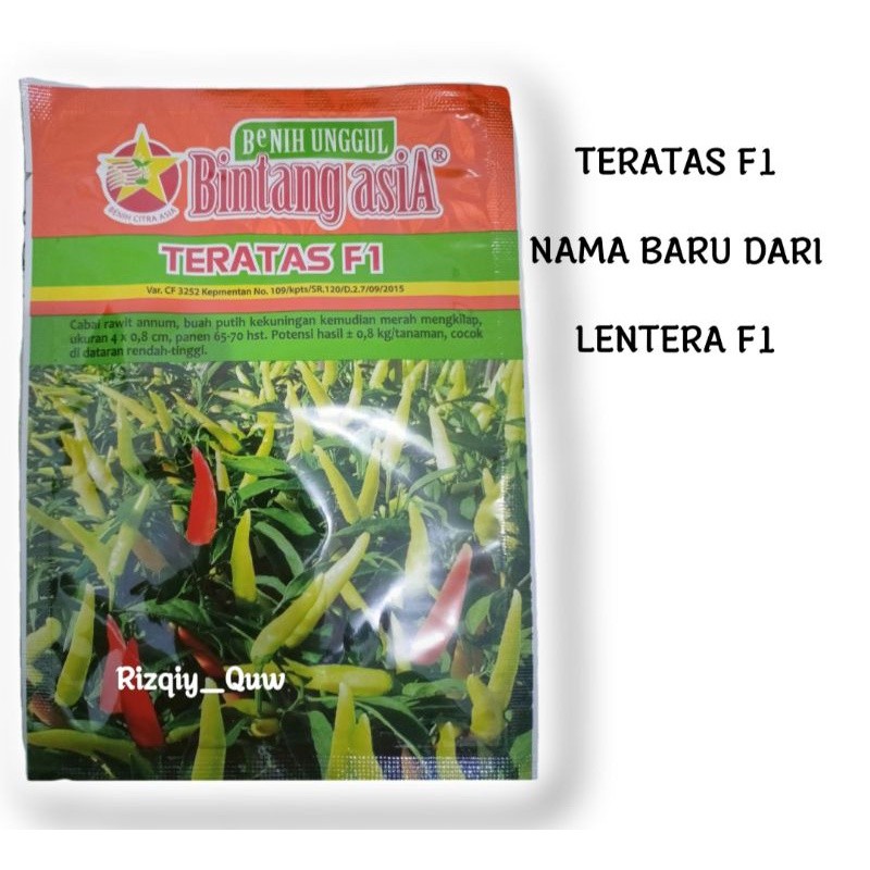 TERATAS F1/LENTERA F1 10gram/BENIH CABE/BENIH CABE RAWIT/BENIH HIBRIDA/BINTANG ASIA/10gram