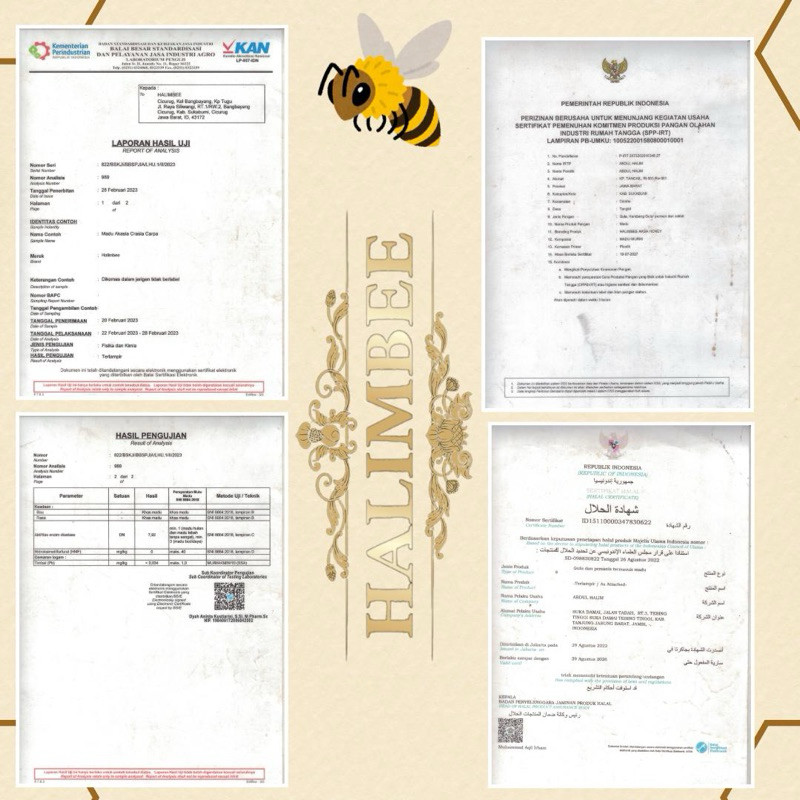 

Konter Makanan Madu Asli Hutan Liar Sialang Kuning Raw Honey 300Gram Garansi 100Xlipat - Halimbee