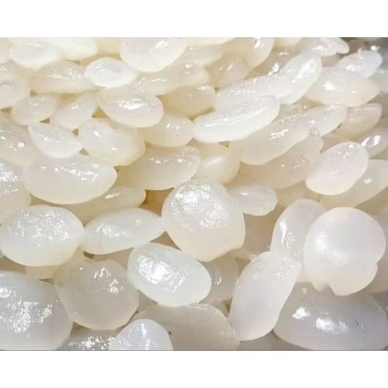 

Sensasi Lezat [Ans] Kolang Kaling Mentah Segar Bahan Manisan Berat 1 Kg