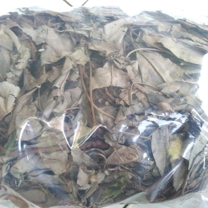 

TERMURAHH!! Daun Kacip Fatimah Kering 500gr - Supplier Murah Herbal Kewanitaan