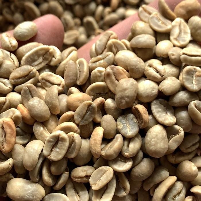 

Arabica NATURAL Rancabali Specialty Coffee Greenbean 1kg Biji Kopi Jawa Barat