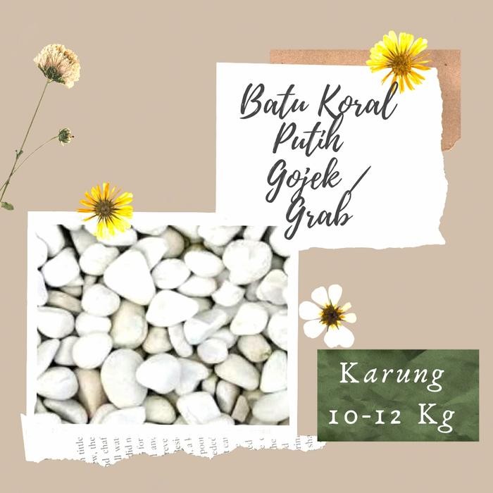 New Batu Koral Putih Batu Taman Dekorasi Taman Kupang Karungan 12 kg