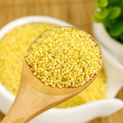 

Organic Hulled Millet / Biji Millet Multigrain 500gr