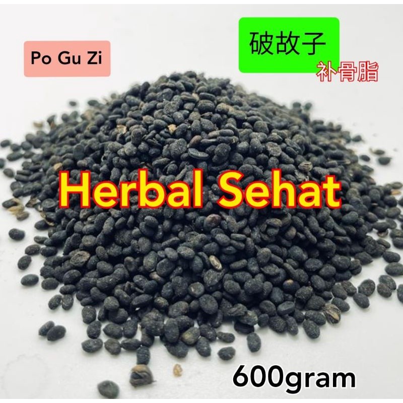 

600 gram - Bu Gu Zhi - Po Gu Zi Psoralea Corylifolia Premium Grade PREMIUM