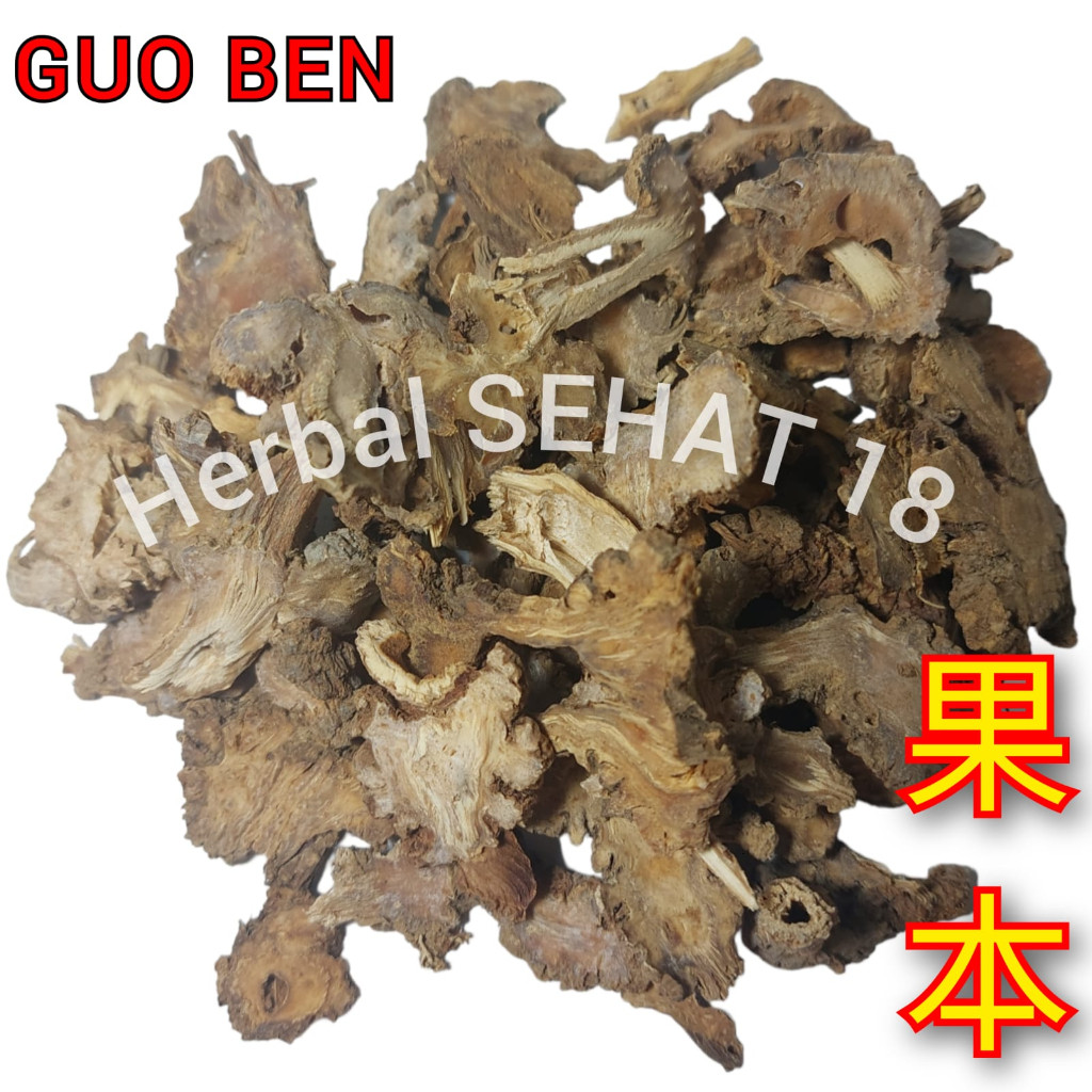 

Gao Ben / Guo Ben 50 gram / Straw Weed / Rhizoma Ligustici PREMIUM