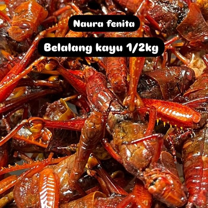 

Barbara.storee belalang goreng besar (kayu) kemasan 500gram bisa request rasa tulis di pesan