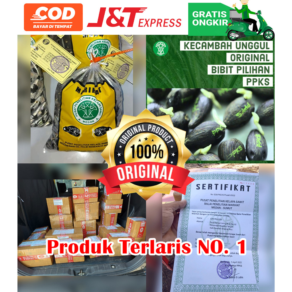 PPKS DXP MARIHAT UNGGUL DAPAT SERTIFIKAT