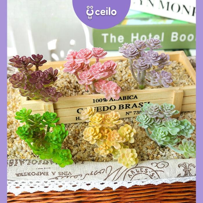 CEILO Sukulen Mini Tanpa Pot Kaktus Sukulen Artificial Sukulen Plastik Cactus Succulent Tanaman Hias