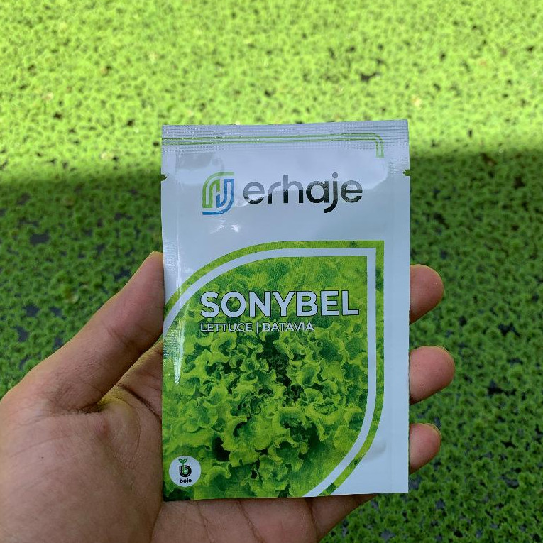 Happygardens Benih Selada Batavia Sonybel Bejo Seed