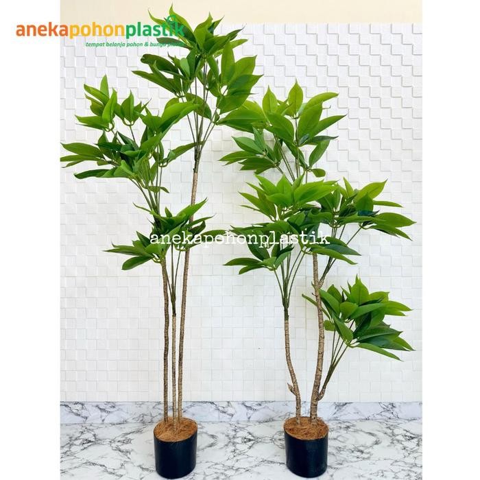 Pohon Artificial Pohon Daun Manggis Variasi Tinggi 150 & 170 Pot Dasar Hiasan Hiasan Rumah Aesthetic