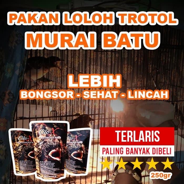 Murni Petshop - Voer Lolohan Trotol Murai Batu Cilo-X