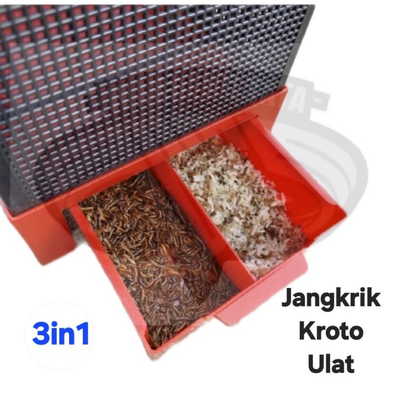 Kandang Jangkrik , Kroto dan Ulat Elite Song