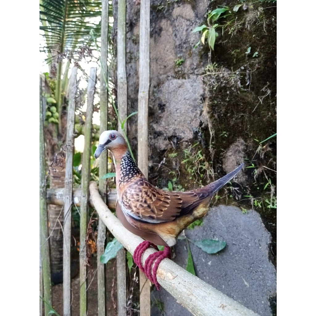 jontrot tekukur Decoy patung tekukur murah