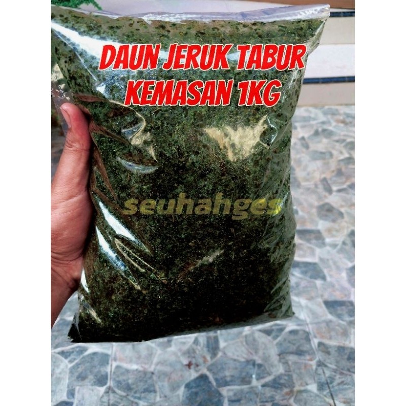 

Daun Jeruk Purut Tabur 1Kg Segar Tanpa Batang