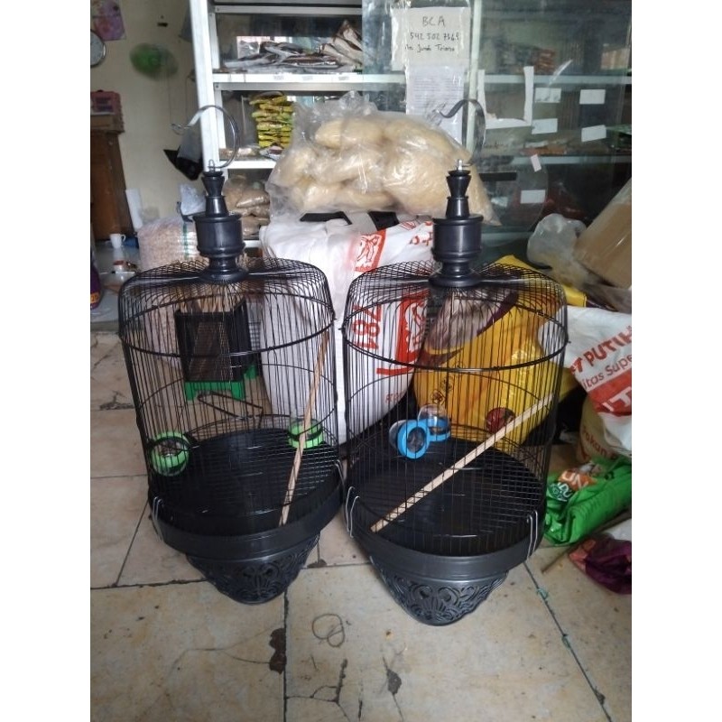 Kandang Lovebird Tanggung/Pendek Sesuai Foto Utama