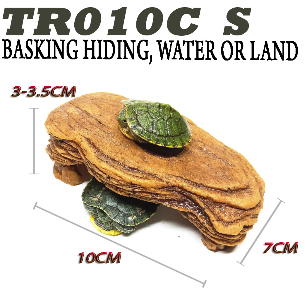 TR010C BASKING TANGKRING KURA-KURA AIR TURTLE RES BRAZIL CST AST AMBON RAZOR DAMER PIPUT ALIGATOR