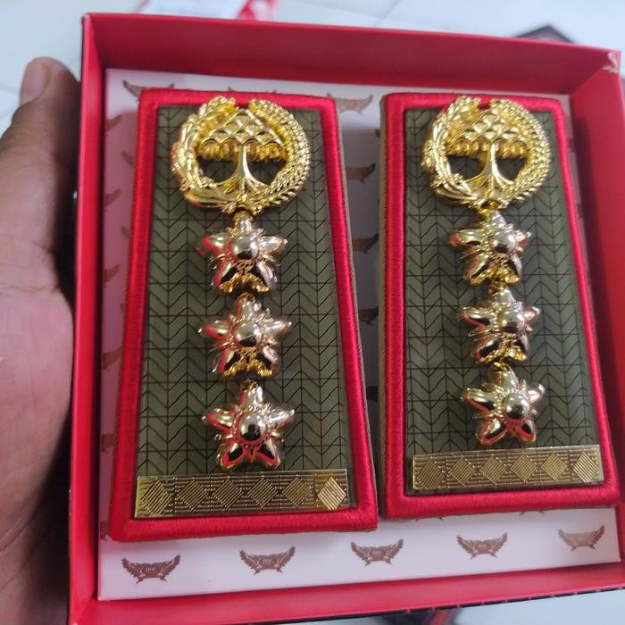 PREMIUM PANGKAT ASN JAWA TIMUR GOLONGAN 4A LIST MERAH - EXCLUSIVE