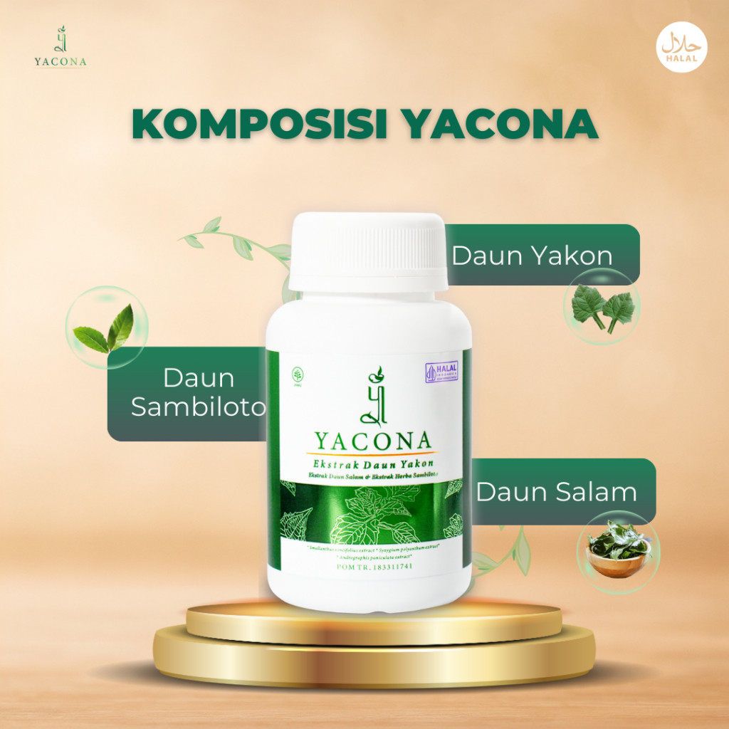 Yacona Kapsul Diabetes Obat Herbal Diabetes Ampuh Turunkan Gula Darah Tinggi Isi 60 Kapsul