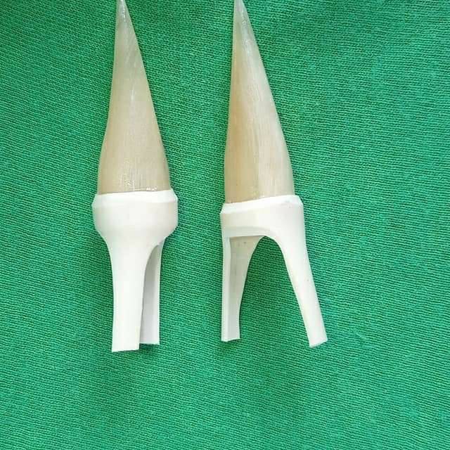 TAJI JALU AYAM JAGO UNTUK SAMBUNG DI KAKI AYAM ADUAN TARUNG - JALU SAMBUNG AYAM BANGKOK