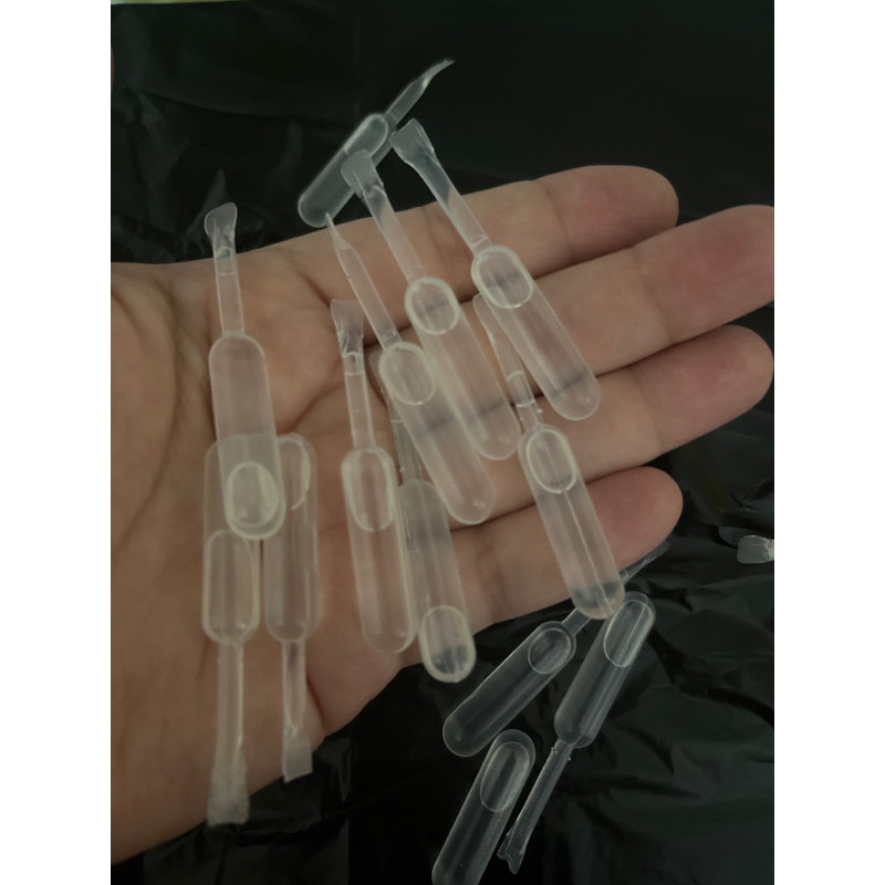 Tetes Kutu Kucing Ampuh