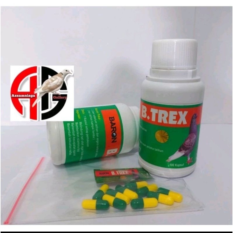 JAMU MERPATI BARON B TREX MENSTABILKAN BURUNG LOMBA