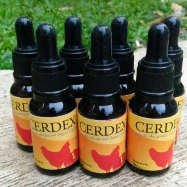 CERDEX Obat Snot Ayam Obat Pilek Ayam